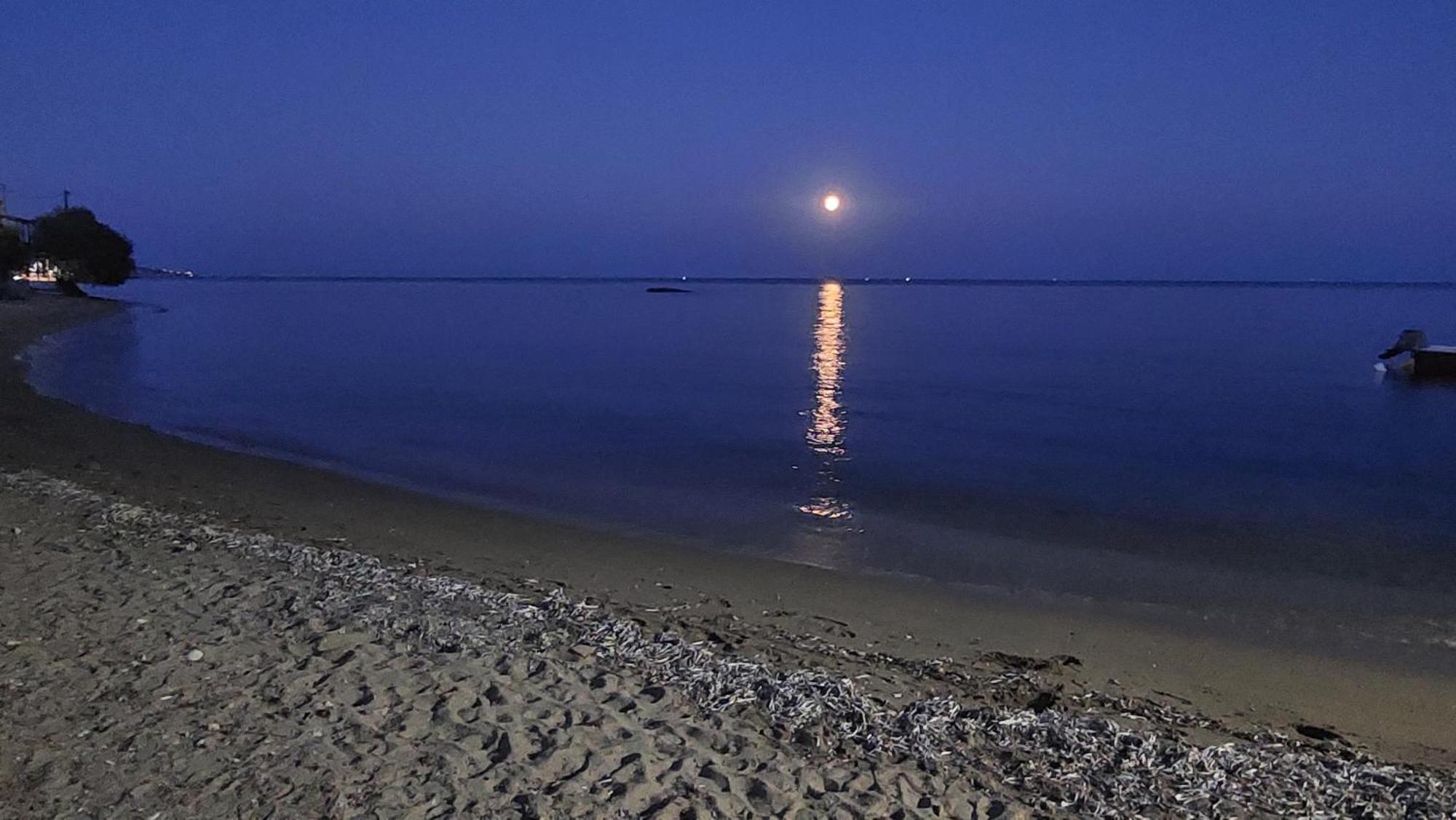 Fotis Beach Apartment At Komi Komi  ภายนอก รูปภาพ